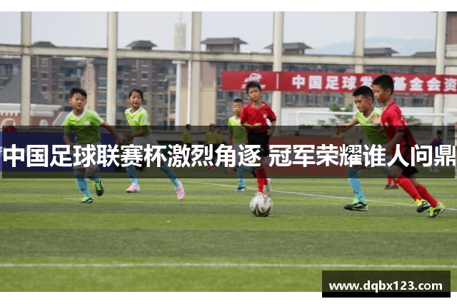 中国足球联赛杯激烈角逐 冠军荣耀谁人问鼎