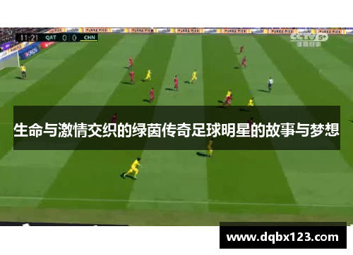 生命与激情交织的绿茵传奇足球明星的故事与梦想