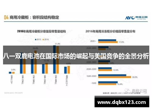 八一双鹿电池在国际市场的崛起与美国竞争的全景分析