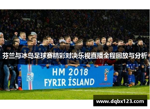 芬兰与冰岛足球赛精彩对决乐视直播全程回放与分析